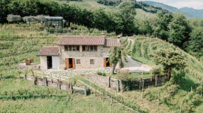 Agriturismo Il Conte Vassallo Miane
